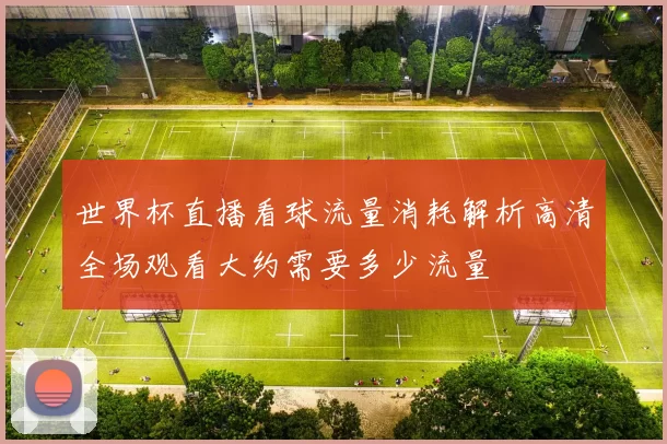 世界杯直播看球流量消耗解析高清全场观看大约需要多少流量