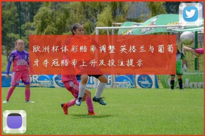 欧洲杯体彩赔率调整 英格兰与葡萄牙夺冠赔率上升及投注提示