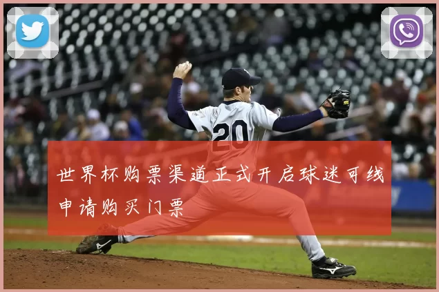 世界杯购票渠道正式开启球迷可线申请购买门票