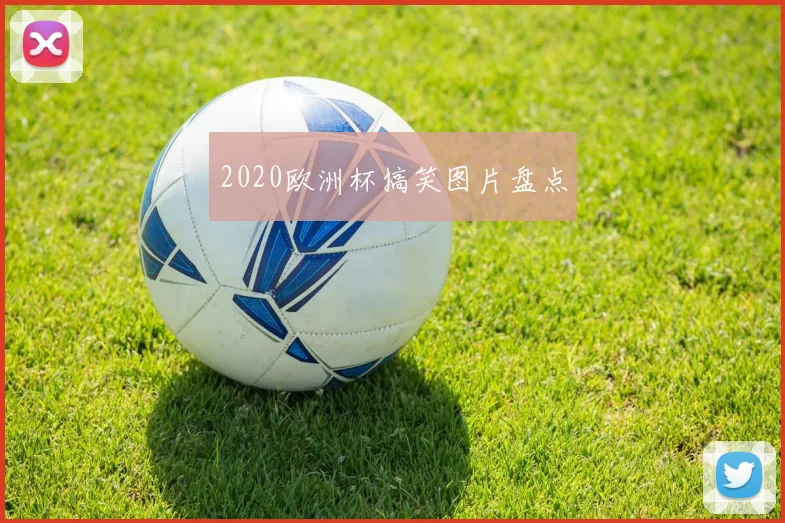 2020欧洲杯搞笑图片盘点