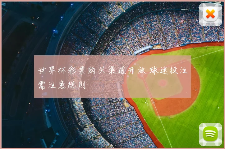 世界杯彩票购买渠道开放 球迷投注需注意规则