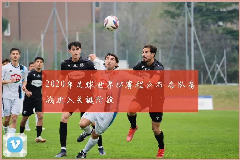 2020年足球世界杯赛程公布 各队备战进入关键阶段