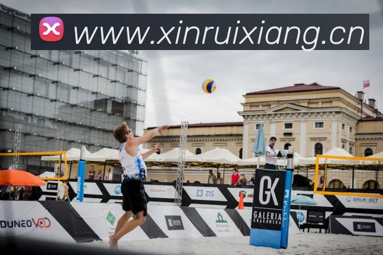 App Interface Preview